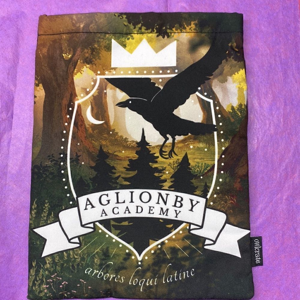 Aglionby Academy Book sleeve - Raven Boys